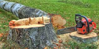Best Tree Preservation Services  in Guadalupe, CA