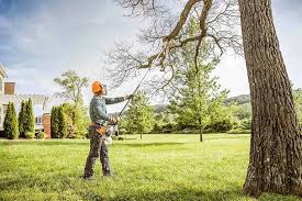 Best Commercial Tree Services  in Guadalupe, CA